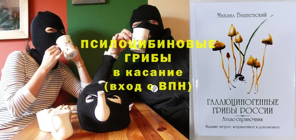 винт Алексеевка